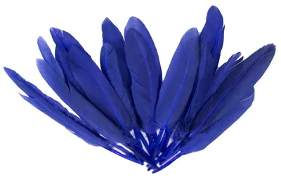 20 Entenfedern , 9-14 cm , königsblau