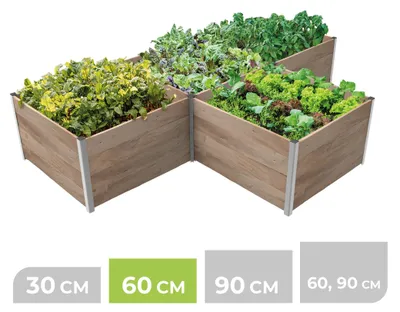 Produktbild von BioGreen 4m² Hochbeet ErnteMAXX in T-Form erhältlich in 4 Höhen