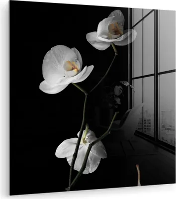 Produktbild von MuchoWow Glasbilder - Bilder auf Wandbild - Foto auf Glas Orchidee - Blumen - Schwarz - Weiß - Stilleben 40x40 cm Wanddekoration aus Glas - Acrylglasbild - Acrylbilder