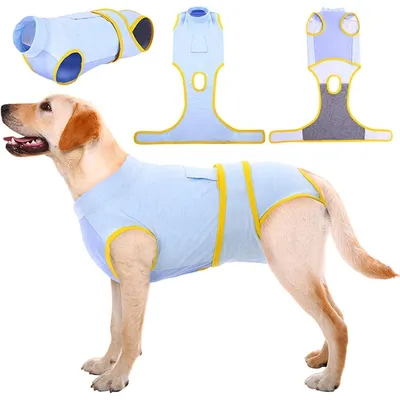 Produktbild von Hundebody nach OP/Kastration atmungsaktiv Leckschutz Hellblau XL