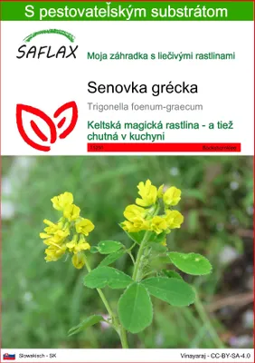 Obrázok produktu pre SAFLAX - senovka grécka - Trigonella foenum-graecum - 100 Semená - S pestovateľským substrátom bez klíčkov