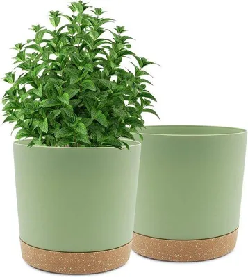 Immagine prodotto di Set di 2 vasi da 25,4 cm, vasi da fiori per piante da appartamento con fori di drenaggio e fondo rimovibile, sottovasi, decorazione moderna per piante da appartamento (verde, 25,4 cm)