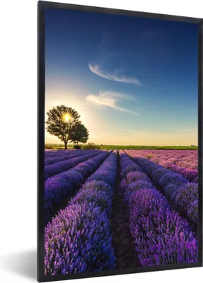 Produktbild von MuchoWow® Gerahmtes Poster Lavendel - Sonne - Baum - Blumen - Lila 60x90 cm - Poster mit Schwarzem Bilderrahmen Wandposter Rahmen Foto Bilder - Kunst