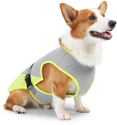 Immagine prodotto di Gilet rinfrescante per cani - Abbigliamento estivo rinfrescante per cani - Leggero e traspirante - Regolabile - Rinfrescante - Adatto a cani di taglia piccola, media e grande (L)