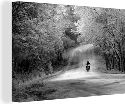 Obrázek produktu pro OneMillionCanvasses® - Výtisky na plátně - 140x90 cm, Motorka mezi podzimními stromy - černá a bílá, nástěnné umělecké dekorace