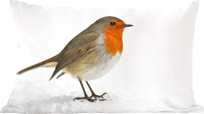 Produktbild von MuchoWow® Zierkissen Sofakissen Wohnzimmer Dekokissen 50x30 cm Rotkehlchen - Schnee - Weiß - Wohnzimmerdekoration - Polster mit Photo