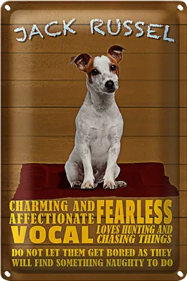 Produktbild von Blechschild Spruch 20x30cm Jack Russel Hund charming