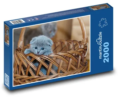 Zdjęcie produktu dla martinpuzzle - Puzzle 2000 - Kotek - kot, koszyk