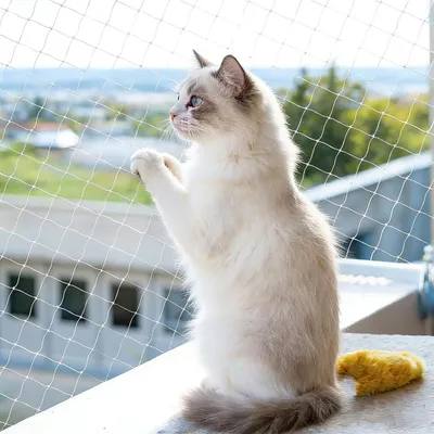Produktbild von Katzennetz Balkon, drahtverstärkt, 10 x 3 m, Schutznetz für Balkon
