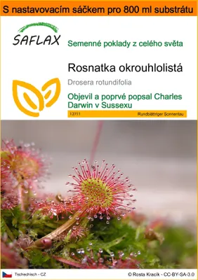 Obrázek produktu pro SAFLAX Garden in the bag - Rosnatka okrouhlolistá - Drosera rotundifolia - 50 Semena - S pěstebním substrátem v praktickém samovztyčovacím sáčku
