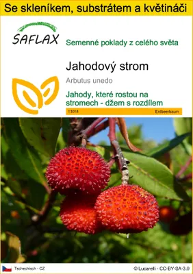 Obrázek produktu pro SAFLAX Kultivační sada - jahodový strom - Arbutus unedo - 50 Semena - S mini skleníkem, pěstebním substrátem a 2 květináči