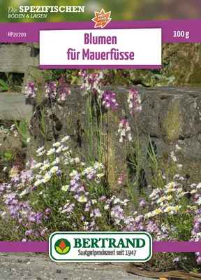 Artikelbild 1 von 'Blumenwiese Mauerfuß (100 g)' aus der Kategorie Blumensamenmischung