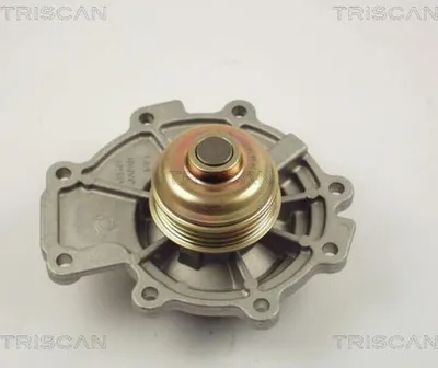 Produktbild von TRISCAN Wasserpumpe 8600 16011