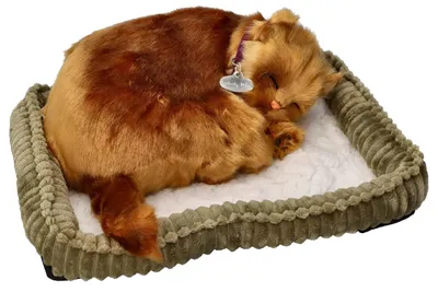 Zdjęcie produktu dla Perfect Petzzz Oddychający Kociak Angora Turecka – maskotka