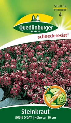 Produktbild von Steinkraut, Rosie O'Day