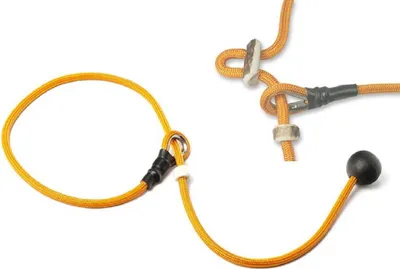 Produktbild von Mystique® Field trial Kurzführer 6mm mit Zugbegrenzung orange 70cm