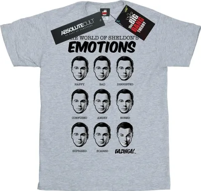 Image de The Big Bang Theory - T-shirt "Emotions" pour femme BI1589 (L) (Gris)