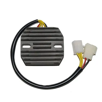 Productafbeelding van ElectroSport laadregelaar ESR 170 voor de GS 500 E