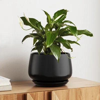 Image de Pot de fleurs en céramique, 25 cm, noir, avec soucoupe et trou de drainage