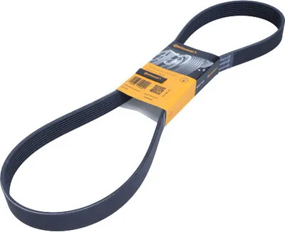 Produktbild von Contitech Keilrippenriemen  8Pk1230