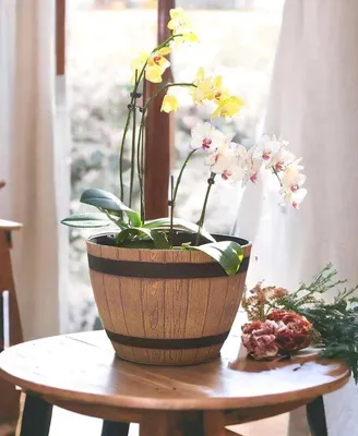 Image de Pot de fleurs en plastique aspect bois de noyer, 38 cm de haut