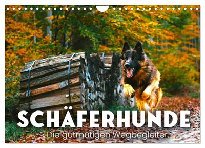 Produktbild von Schäferhunde - Die gutmütigen Wegbegleiter. (Wandkalender 2027 DIN A4 quer), CALVENDO Monatskalender