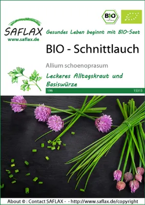 Productafbeelding van SAFLAX -  - Bieslook - 250 zaden - Allium schoenoprasum