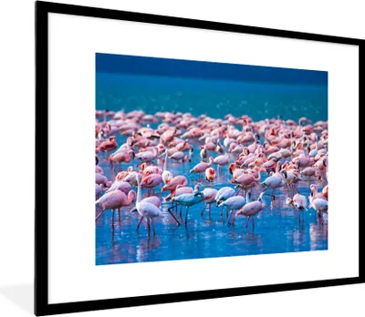 Produktbild von MuchoWow® Gerahmtes Poster Flamingo - Wasser - Tropisch - Rosa 80x60 cm - Poster mit Schwarzem Bilderrahmen Wandposter Rahmen Foto Bilder - Schlafzimmer-Dekorationen - Fotoposter