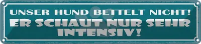 Produktbild von vianmo Blechschild 10x46 cm Unser Hund bettelt nicht! Spruch Zitat