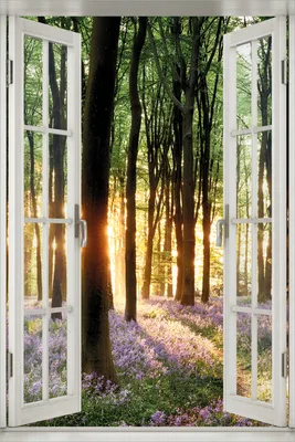 Produktbild von Wallario Poster mit Fenster-Illusion: Blaue Hasenglöckchen im Wald mit Sonnenstrahlen, Größe: 100 x 150 cm