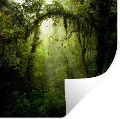 Produktbild von MuchoWow® - Selbstklebend - Fototapeten