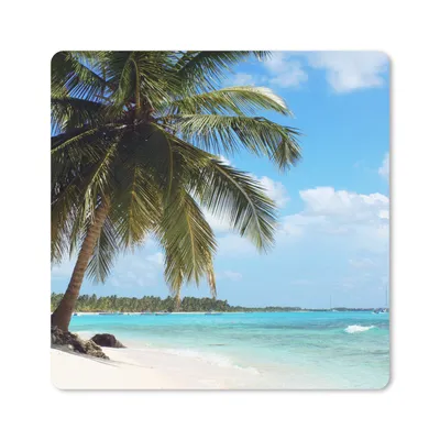 Produktbild von MuchoWow® Mauspad Mousepad Palme - Tropisch - Wolken 20x20 cm - Mousepads - Maus Mat - Pad - Mausunterlage - Desk Mat - Bureauartikeln