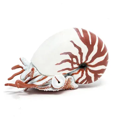 Produktbild von Spielfigur Nautilus