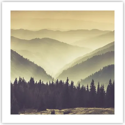 Produktbild von Poster - Poster ohne Rahmen - Berge Wald Natur - 50x50 cm - Wand Bild - Wanddeko - Wandbilder - Kunstposter - Wandposter - Bilder - Kunstdruck - Wanddekoration - Wandbild - P2XAC50x50-3820
