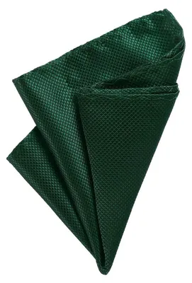 Produktbild von DonDon Herren Einstecktuch 21 x 21 cm für feierliche Anlässe grün