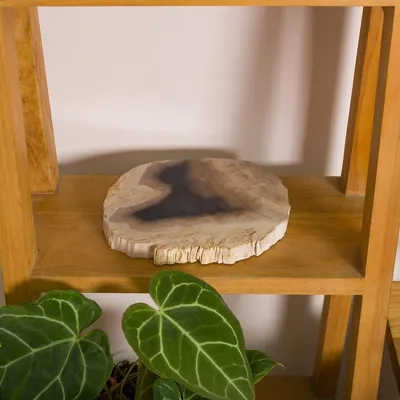 Zdjęcie produktu dla Pojemnik na mydło z drewna fossilizowanego - Naturalny kamień, wymiary 20x18x2 cm