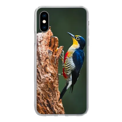 Produktbild von MuchoWow® Handyhülle Schutzhülle Hülle für iPhone X Nahaufnahme eines bunten Vogels auf der Seite eines Baumstamms Silikon Softcase Handy Hülle - Handyhülle