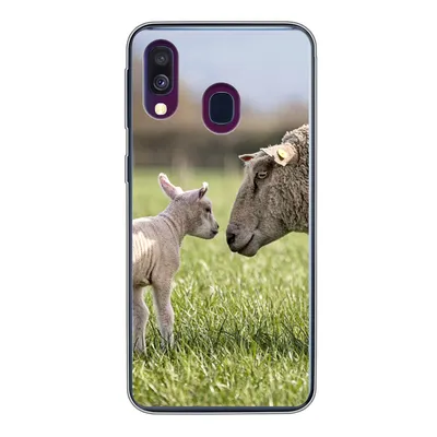 Produktbild von MuchoWow® Handyhülle Schutzhülle Hülle für Samsung Galaxy A40 Schafe - Gras - Lamm Silikon Softcase Handy Hülle - Handy-Tasche