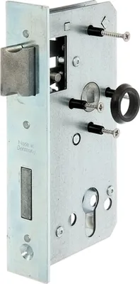 Zdjęcie produktu dla Alberts 416126 Zamek wymienny, ocynkowany, do obudowy zamka 40 mm, rozstaw 55 mm