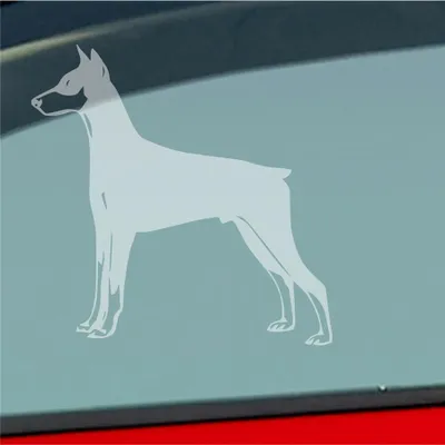 Produktbild von Auto Aufkleber Dobermann Hund Dog Animal Tier 10x10 cm Milchglas Sticker Heckscheibenaufkleber