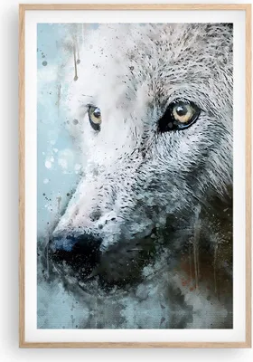 Produktbild von Gerahmtes Poster - Rahmen in heller Eiche - Weiß Der Wolf Bild - 61x91,5 cm - Wand Bild - Wanddeko - Wandbilder - Kunstposter - Wandposter - Bilderrahmen - Bilder - Kunstdruck - P2NPA61x91-4623