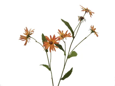 Produktbild von 2474U Kunststielblume Margerite Orange, Künstliche Blume,  71 cm