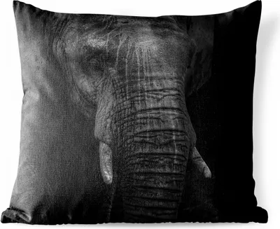 Produktbild von MuchoWow® Outdoor Kissen - Elefant - Tier - Schwarz - 50x50 cm - Wetterfest - Lounge Kissen - Komfortabel - Kissen mit Bild