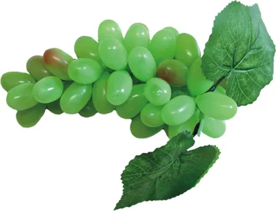 Weintrauben Dekoobst Deko Trauben grün künstliches Obst Kunstobst Früchte