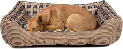 Productafbeelding van Nd38_8711252180090 Beige Miekkie: Hondenbed, bankmodel