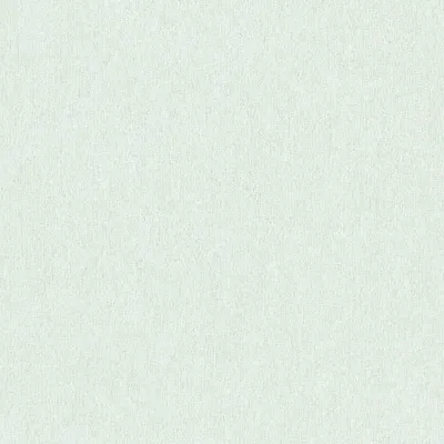 Produktbild von A.S. Creation | Attractive 2 | 390306 | Vliestapete | Einfarbig | 10.05 x 0.53 m | Grün | Wohnzimmer | Flur | Büro | Küche | Wohnräume