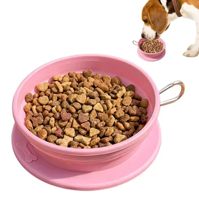 Image de Gamelle pliable en silicone pour animaux de compagnie