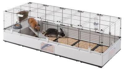 Productafbeelding van FERPLAST Modular 4 - kooi voor konijnen en cavia's - 179 x 72 x 56 cm