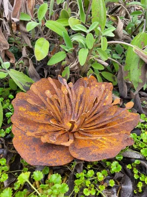 Immagine prodotto di Fiore di papavero in acciaio inox