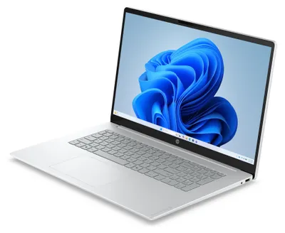 Immagine prodotto di HP OmniBook D2GZ5EA - Notebook da 17,3" - 5 GHz 43,9 cm
